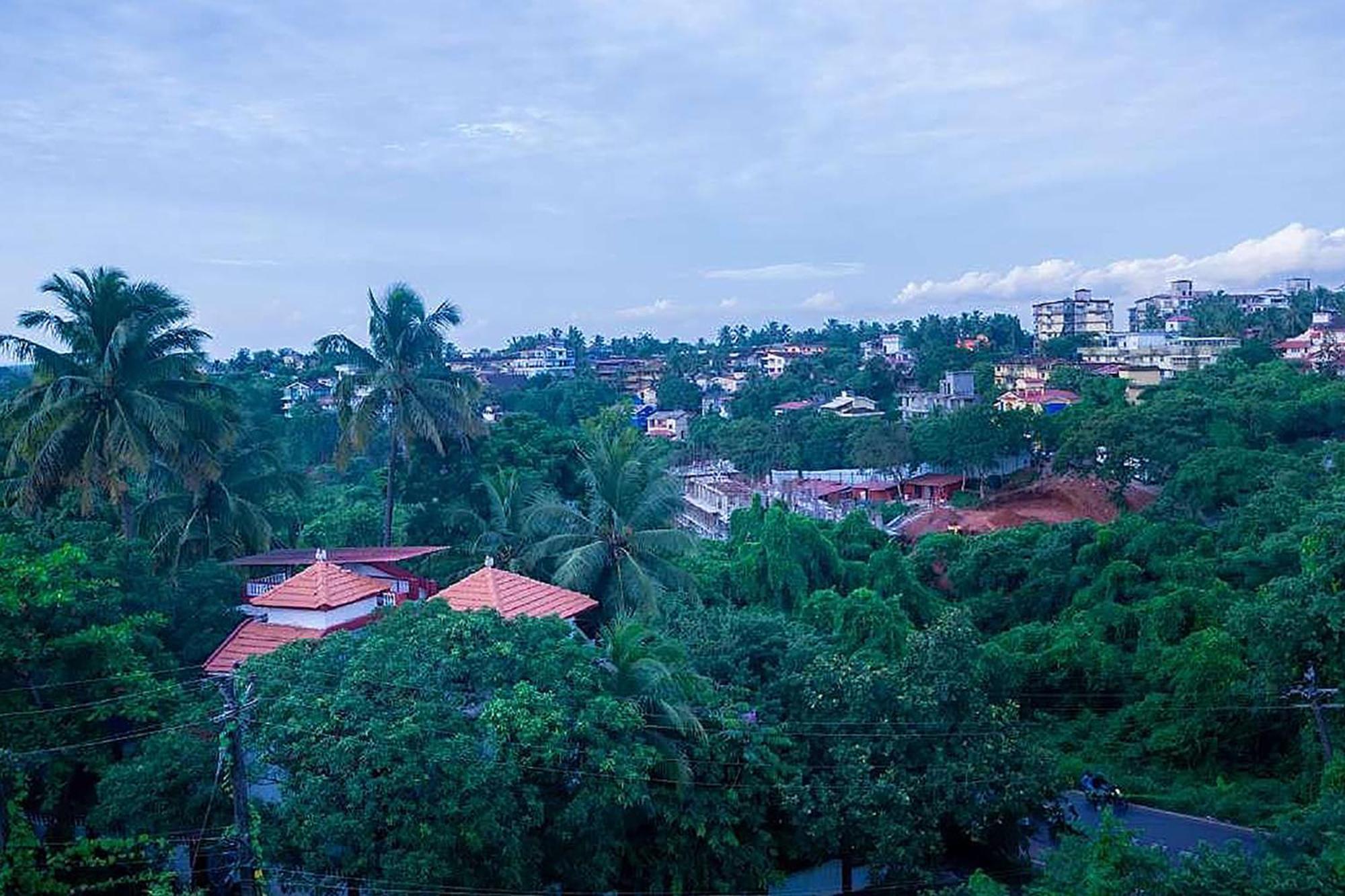 Fabexpress Spring De Goa 3*